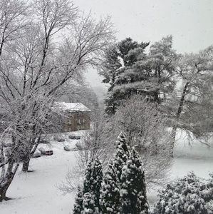 Meet your Posher, Consuelo